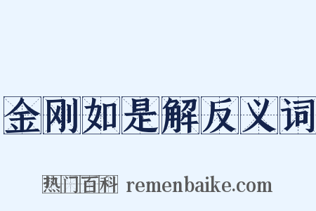 金刚如是解反义词是什么意思的图片